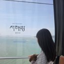마라톤카 | [반려견 동반가능] 서해랑 제부도 해상케이블카 탑승후기