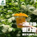 행주산성카페 브릿지하우스 | 원당카페 배다골베이커리하우스 수국 정원 브런치 후기
