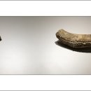 선사고등학교 이미지