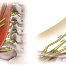 성수한의원 이미지