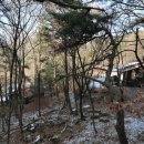 수레의산자연휴양림 이미지