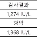 혈액검사중 유산탈수효소(LD)수치 이미지