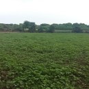 토지민속촌 이미지