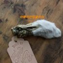 토끼발 이미지