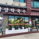 삼양막국수 | 홍천막국수 맛집 40년전통 삼양막국수 내돈내산 솔직후기 (주차정보)