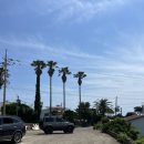 선우카센타 이미지