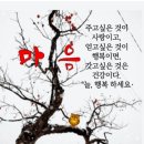 우리꽃