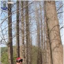 황악산아래 이미지