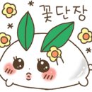 라포렛