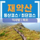 재약산 티스토리