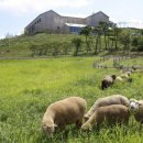 구시포 해수탕 이미지