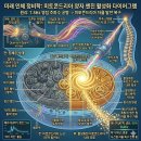제4부 3장 이미지