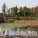 추정2리 이미지