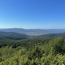 10월19일 안면도수목원&amp;자연휴양림 입장료 할인, 운영시간, 예약 이미지