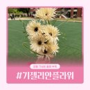 안안 | W. 셀프 야외 웨딩 스냅 생화 부케 | 강동구 성내동 가성비 부케 기젤리안플라워 후기