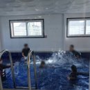 오션브릿지 키즈풀빌라 에이스 이미지