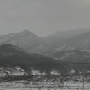 서상시장 이미지