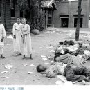 광풍 이미지