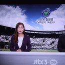 '2016년 윔불던 테니스 대회 열리다' 이미지