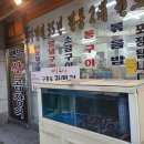 대변 산 곰장어 이미지