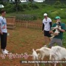 지민목장 이미지