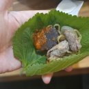 백순대본가새맛 티스토리