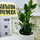 삼남매꼬마김밥