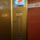 청년쉐프 원종주방 | 롯데호텔서울 도림 :: 가족식사 후기, 도림 단품식사, 호텔 중식당 런치 추천