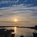 까사콩새 이미지