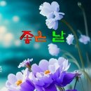 조선의백정 네이버블로그