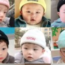 팜파스리조트 이미지