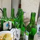 완월동234 | 드디어 가본 마산통술집 신해보금자리 다녀온 후기