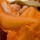 도토리 펫살롱 이미지