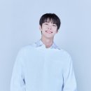 도영 티브이데일리