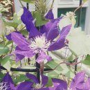 놀토피아 이미지