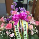 (주)한국그린피아 이미지