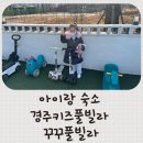 꾸꾸풀빌라 | 경주키즈풀빌라 꾸꾸풀빌라 아이와 경주 여행 내돈내산 찐 후기