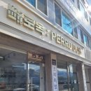 빼로독 강아지분양 의정부본점 | 빼로독 강아지분양 의정부본점 분양가도 합리적이고 사후관리까지 믿음 가는 곳, 빼로독 후기🌱혈통 좋은...