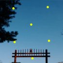 안용중학교 | 화성 여행지 코스 갈만한곳 | 세계문화유산 화성 융건릉 | 경기도 가볼만한곳