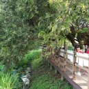 수완1제 이미지