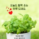 4월8일 고발뉴스 이미지