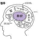 정우구조 이미지