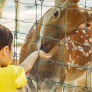 서울숲5 이미지