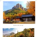 제1197차(26-47) 청송 주왕산 산행공지문(2026년 10월 24일) 이미지