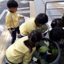 신북어린이집 이미지