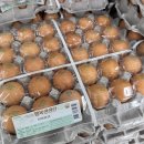 (주)오래식품