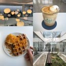 [공지] 울산 언양 크로플이 맛있는 카페 조명 맛집 : 오르토커피