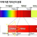 보보스안경