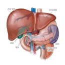 울산민내과의원 이미지