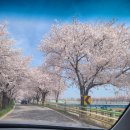 군산악기사 이미지